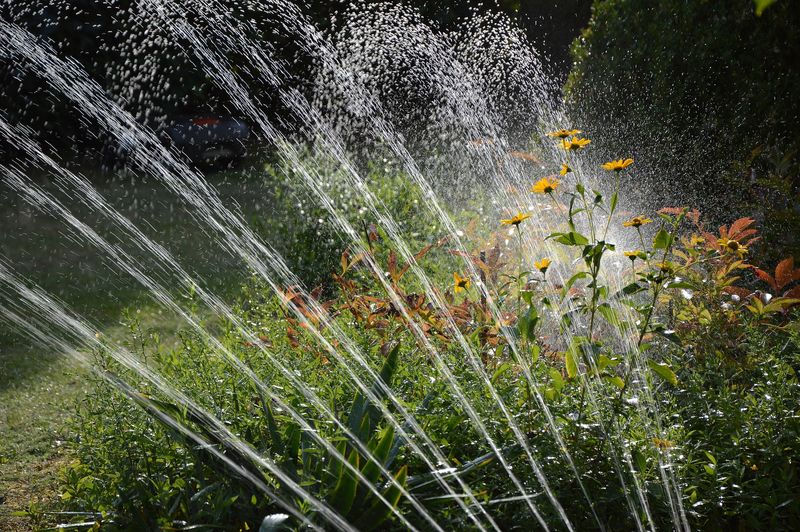 Overwatering In Spring Weakens Plants Before Summer Heat Arrives