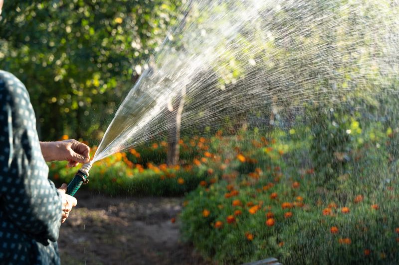 Overwatering Or Watering Too Often