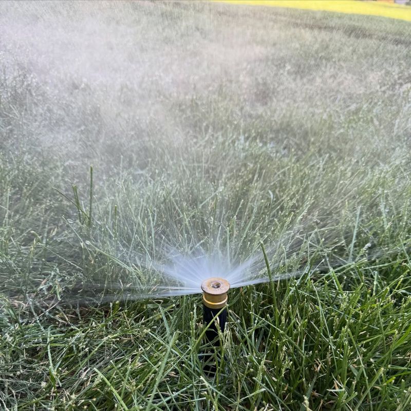 Overwatering The Lawn And Garden