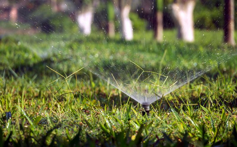 Overwatering Your Lawn And Garden