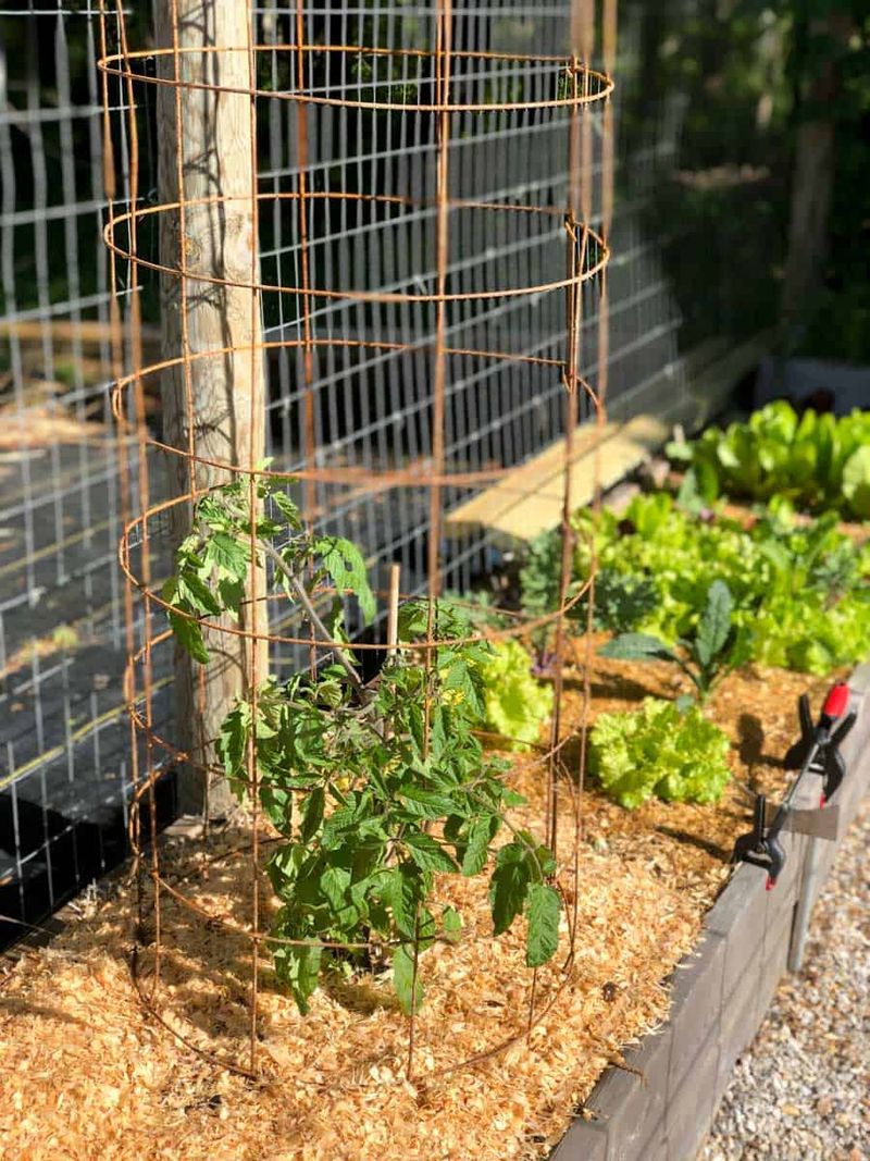 Pair Topping With Strong Stakes Or Cages