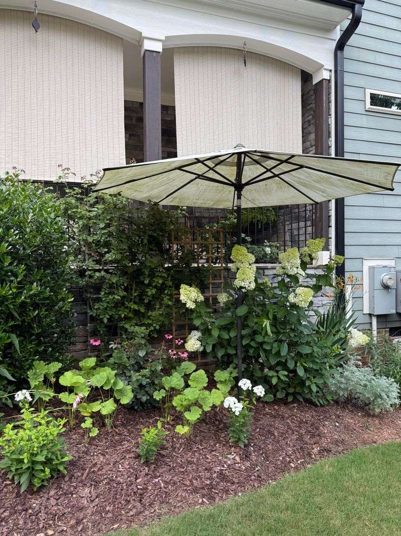 Patio Umbrellas Create Quick Afternoon Shade