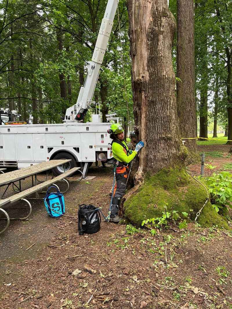 Permits May Apply In Some Oregon Cities