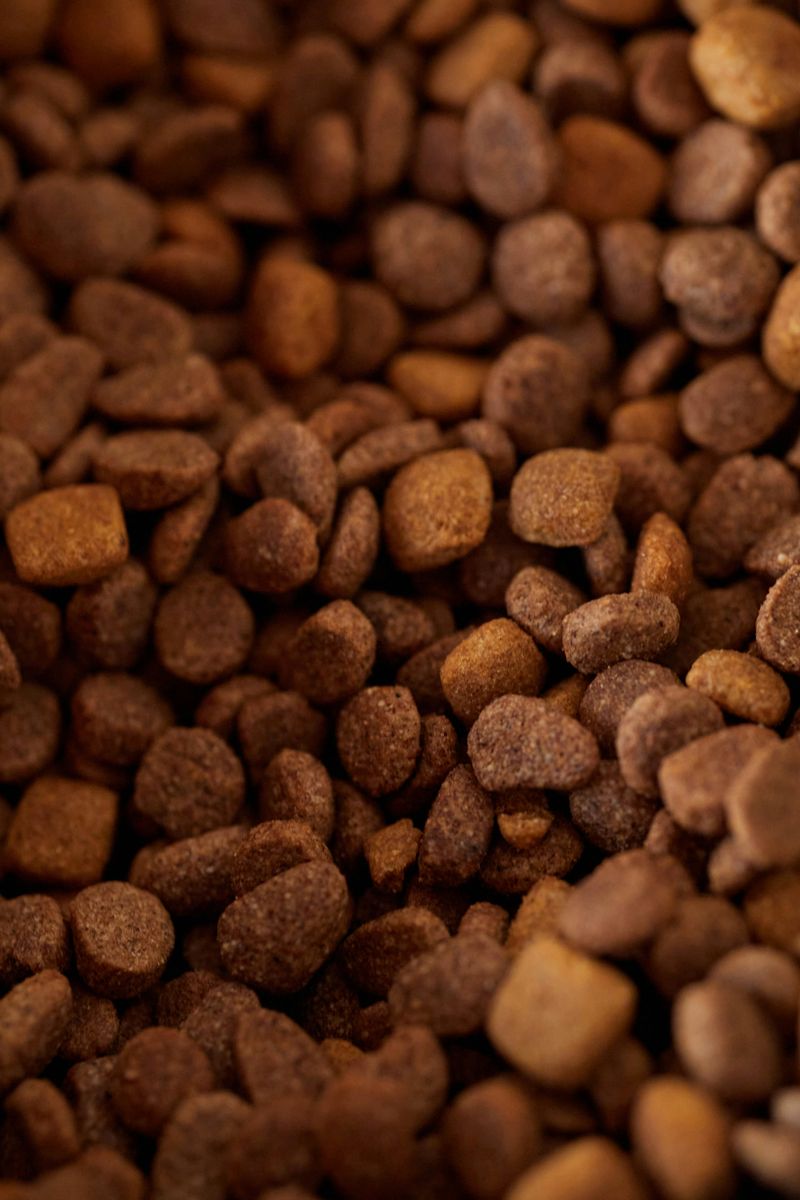 Pet Food Left Out In The Open