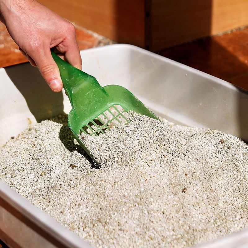 Pet Waste Does Not Belong In Garden Compost
