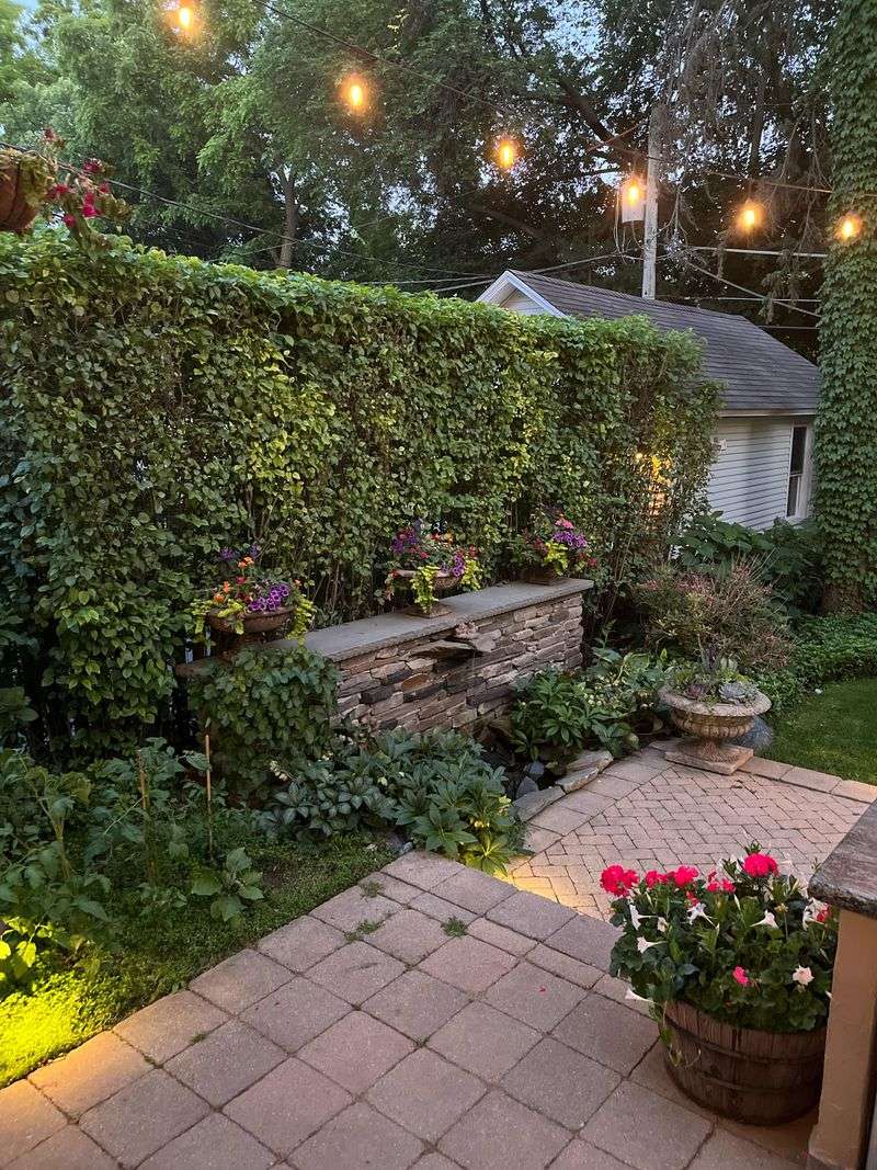 Pick A Spot With Evening Shade