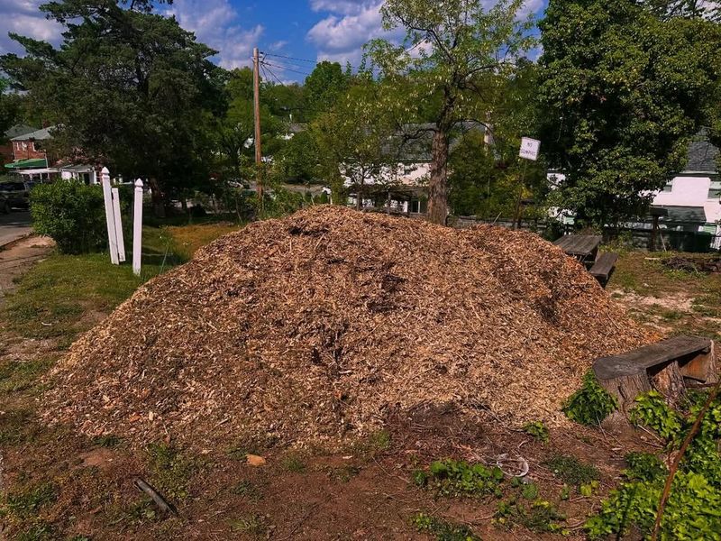 Piling Mulch Too Deep Turns Garden Beds Into Slug Shelter Piling Mulch Too Deep Turns Garden Beds Into Slug Shelter