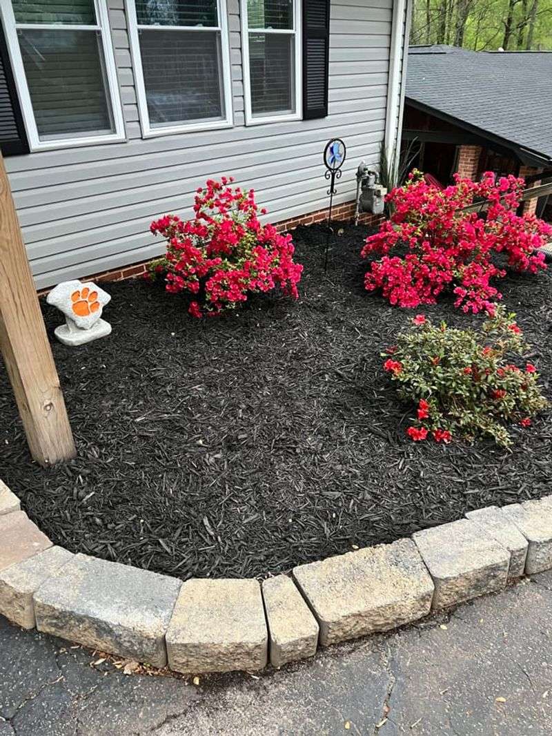 Pine Bark Mulch Helps Roots Stay Cooler In Summer