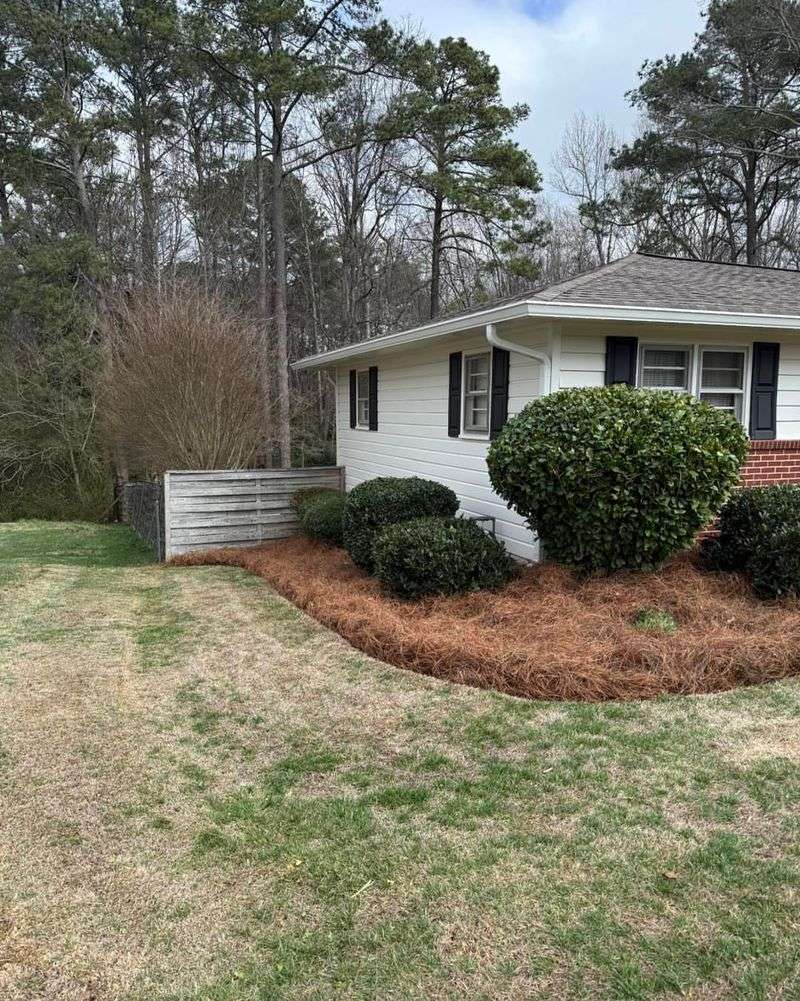 Pine Straw Improves Soil Aeration Over Time