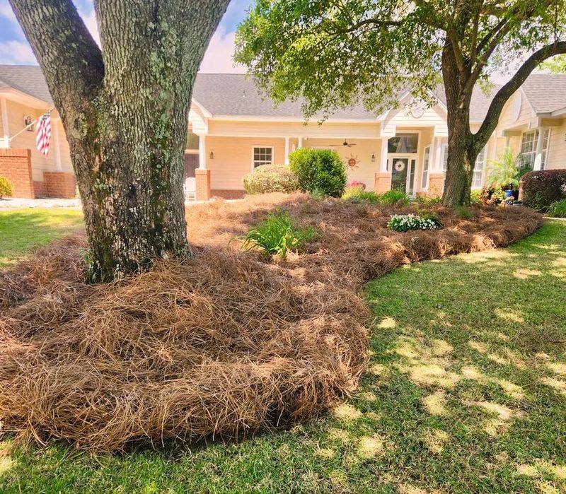 Pine Straw Often Stays In Place Better After Storms