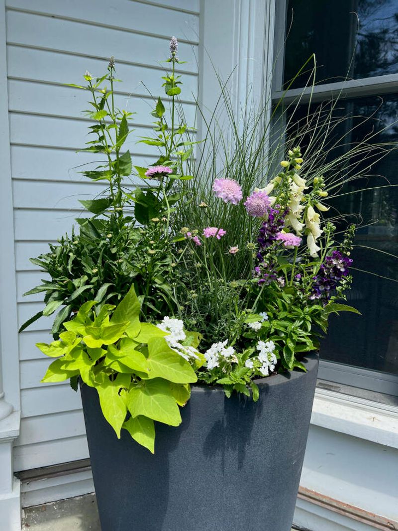 Place The Pot Where Bees Can Find It