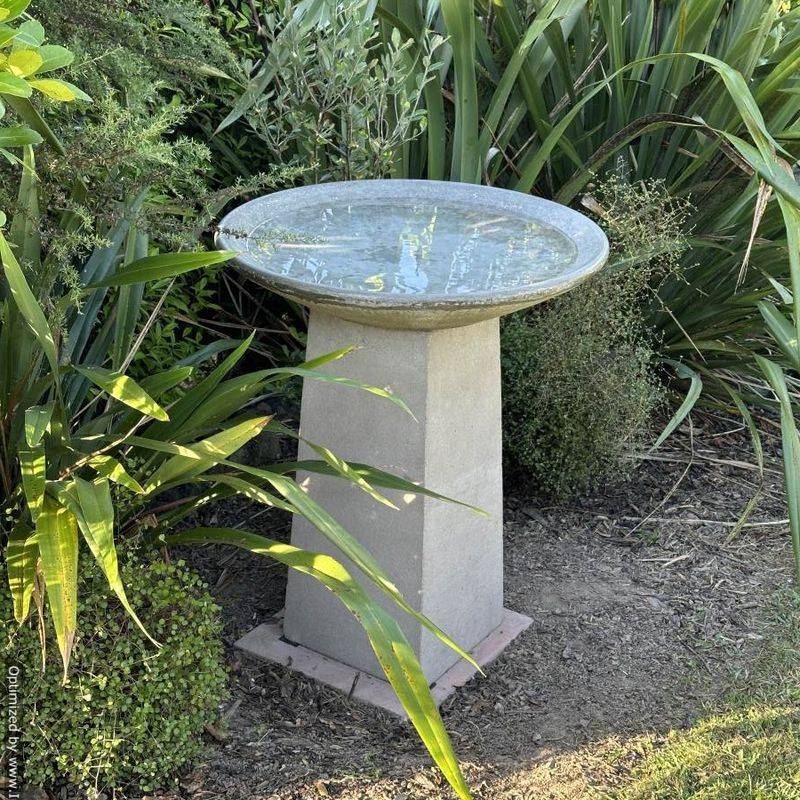 Place Water In Partial Shade