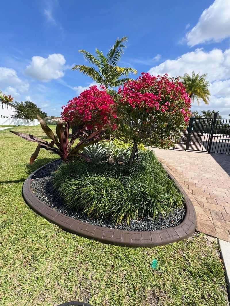 Plan For Mature Size Before Planting