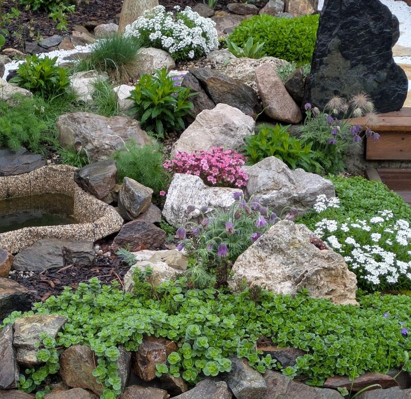 Plant Choice Still Matters Most