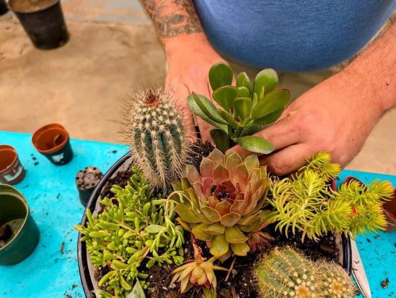 Plant Early In The Morning To Reduce Stress