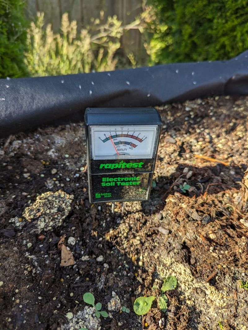 Planting Blueberries Without Testing Oregon's Soil First