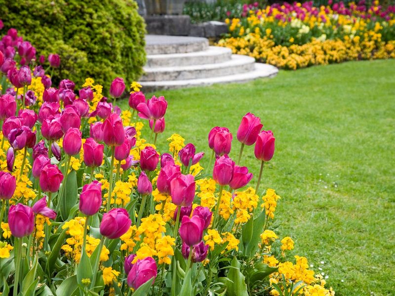 Planting For Spring Color Only Planting For Spring Color Only