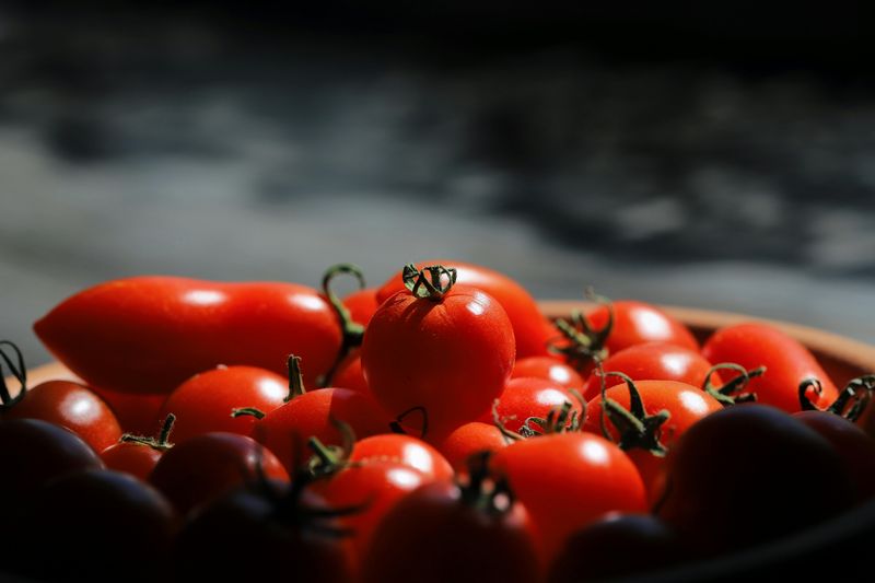 Planting Thin-Skinned Tomato Varieties Planting Thin-Skinned Tomato Varieties
