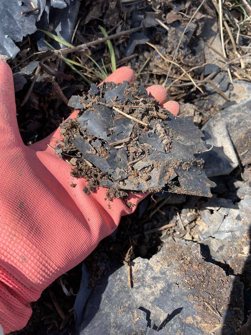 Plastic Weed Barriers Often Trap Moisture In Heavy Clay Soil