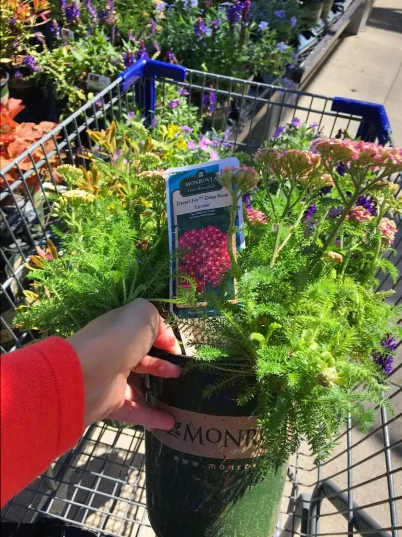 Pollinator Friendly Does Not Always Mean Pollinator Safe