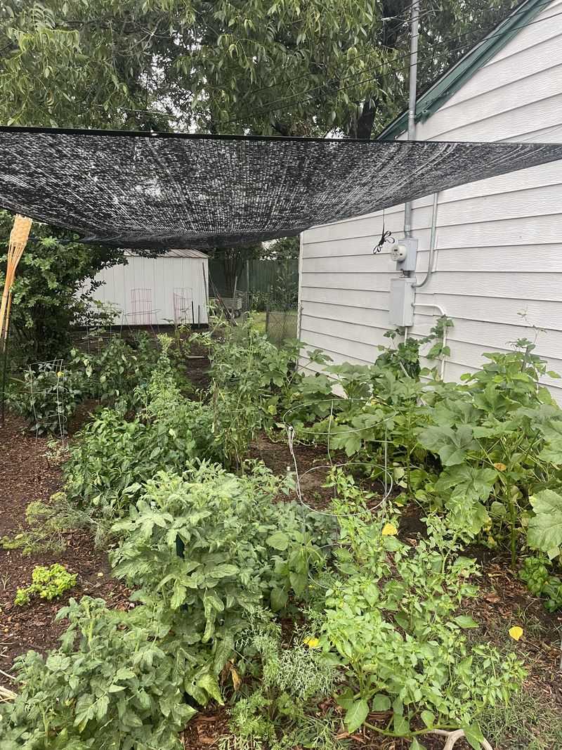 Poor Airflow Under Shade Cloth Can Stress Plants Faster