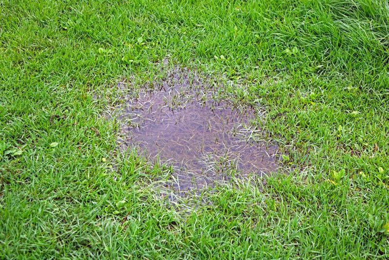 Poor Drainage Can Bring The Same Problem Back Again