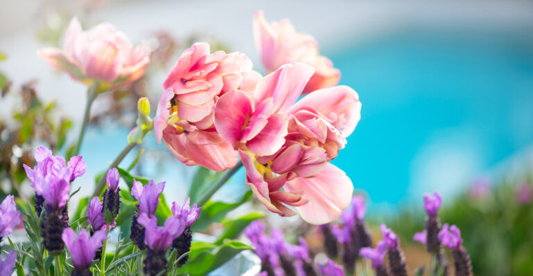 © Image Credit: Subbotina Anna / Shutterstock