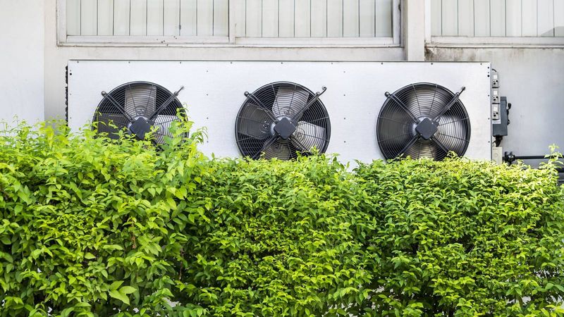 Pretty Shrubs Can Turn Into Costly Clutter