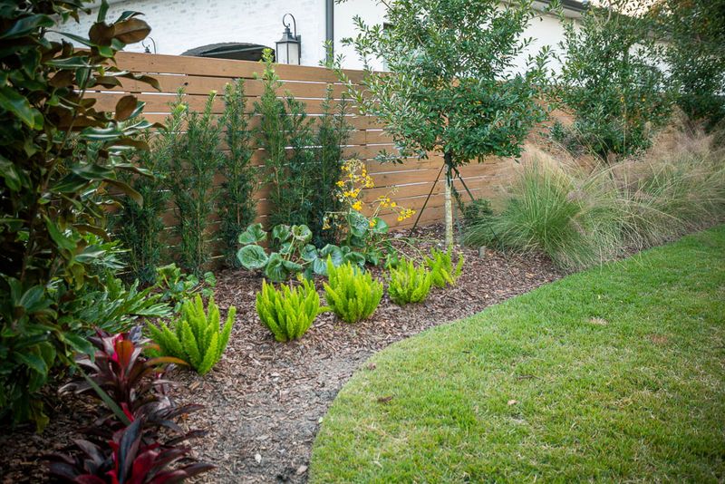 Protect Dark Damp Spots During Mowing And Cleanup