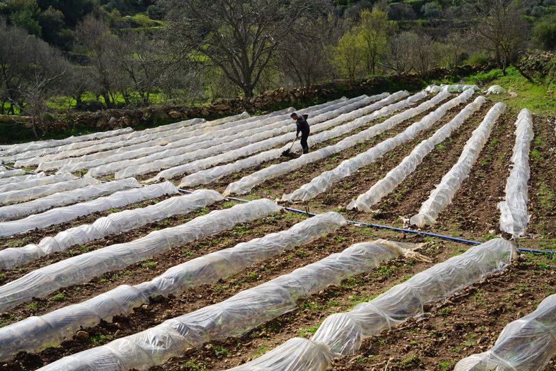 Protect New Garden Beds With Row Cover Fabric Protect New Garden Beds With Row Cover Fabric