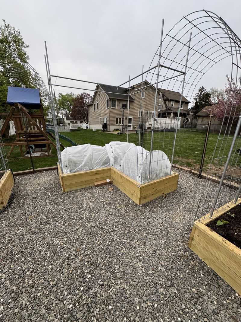 Protect Young Peppers During Surprise Cool Snaps