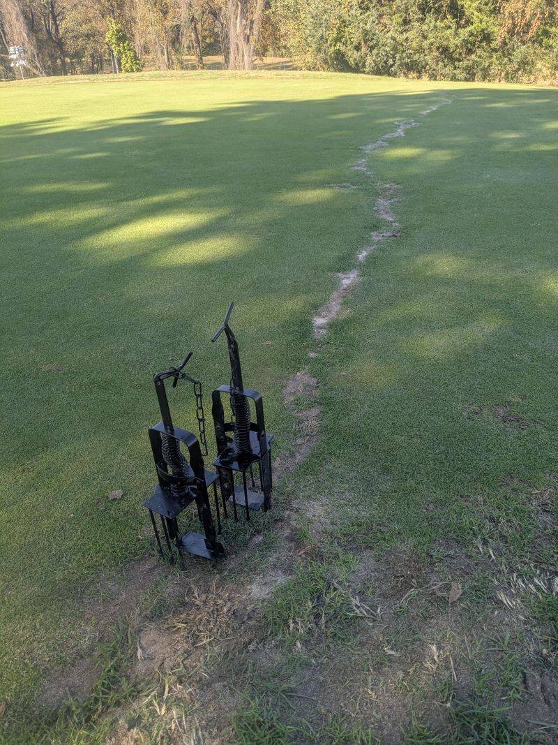 Proven Ways To Stop The Damage