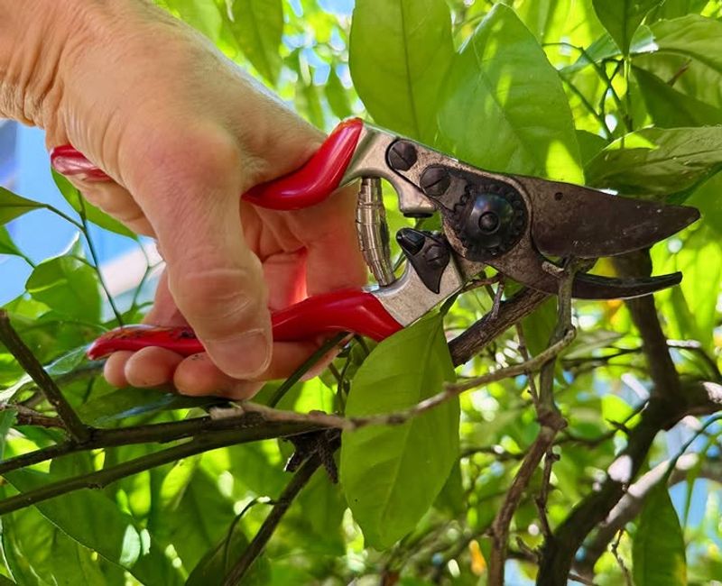 Prune Less Than You Think