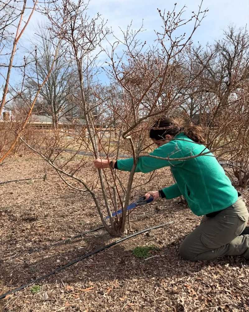Pruning Too Hard Or Not Pruning At All