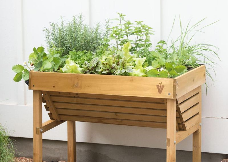 Put The Soil Rule Into Practice