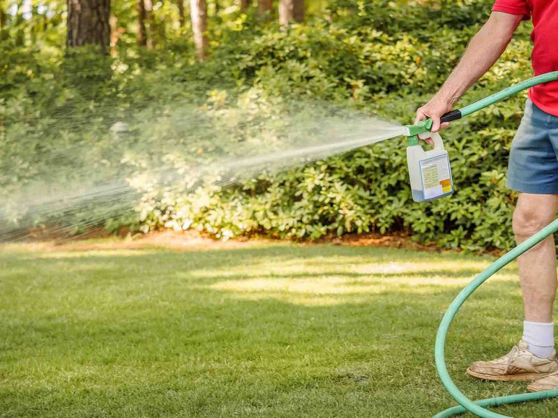 Quick-Release Fertilizers Can Be Easy To Overdo Quick-Release Fertilizers Can Be Easy To Overdo