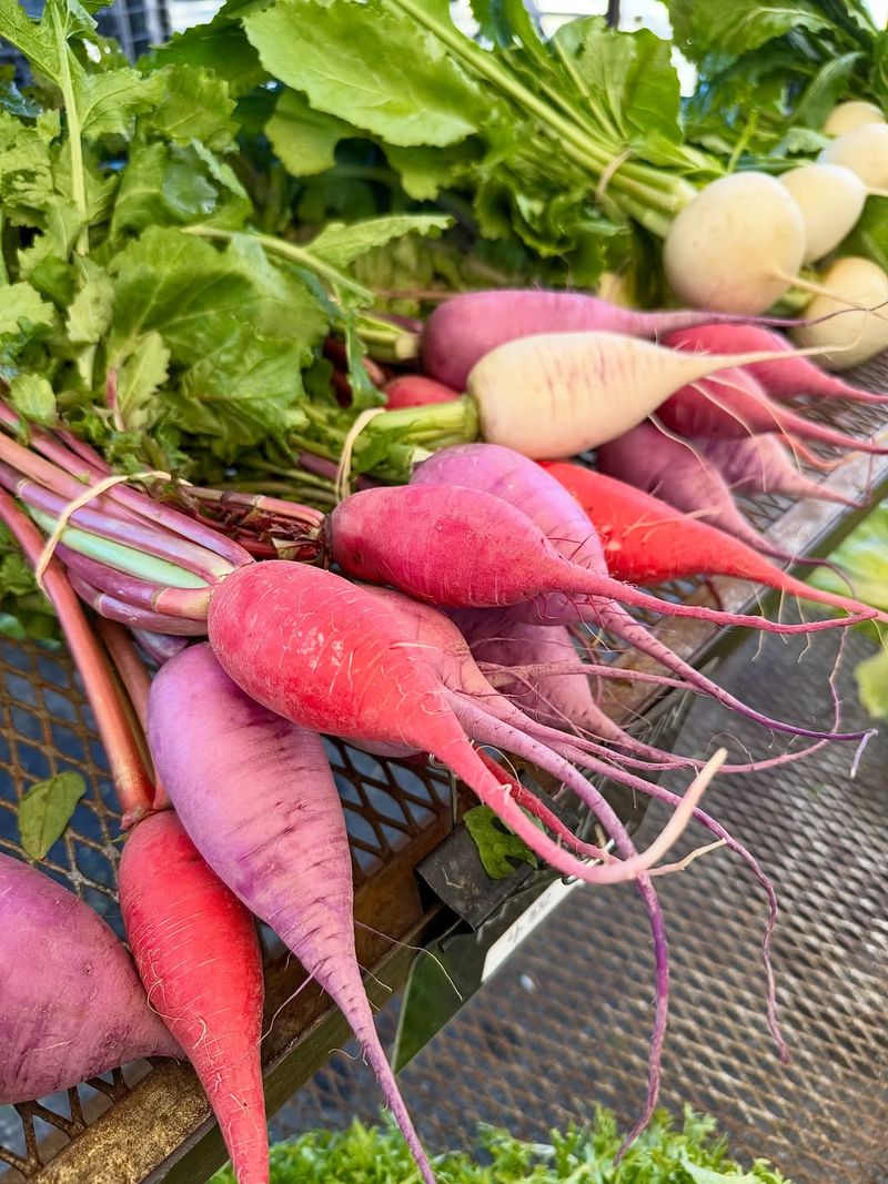 Radishes (Raphanus sativus)