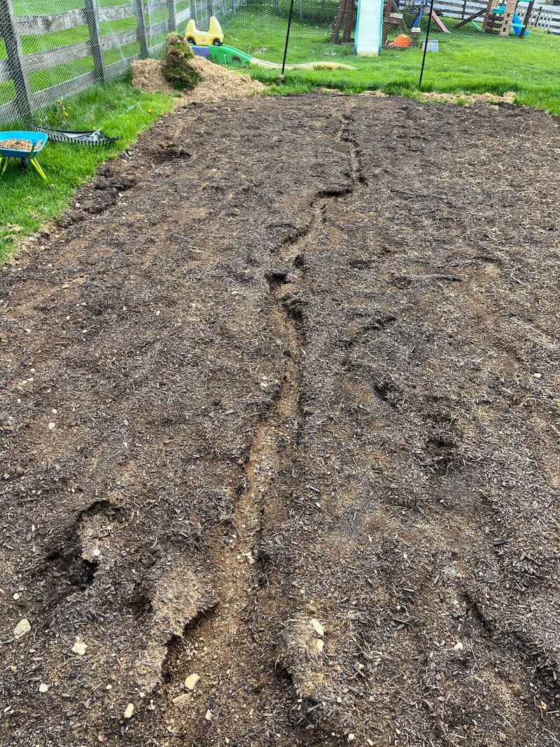 Rain Soaked Soil Leaves Roots Stressed