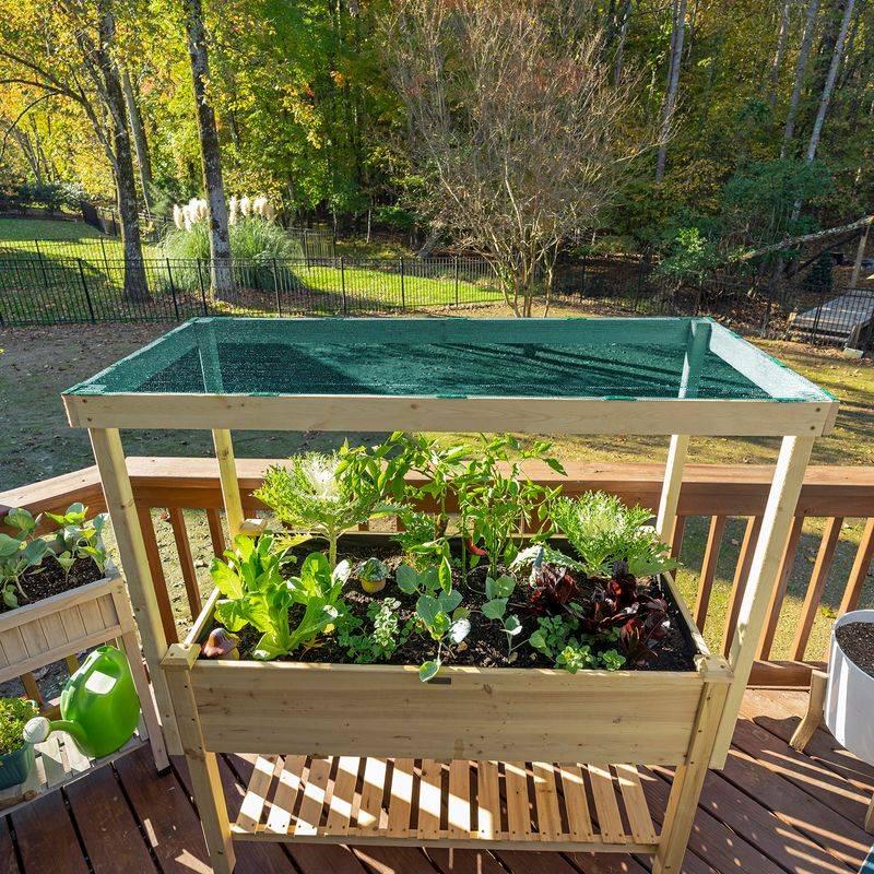 Raise Containers Before Covering Sensitive Plants