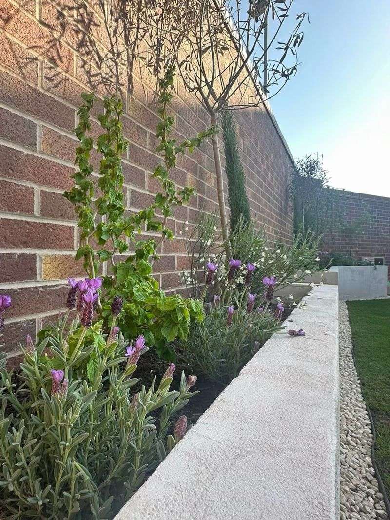 Raised Beds Help Prevent Root Rot