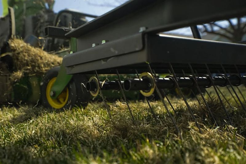 Rake Out Thick Thatch
