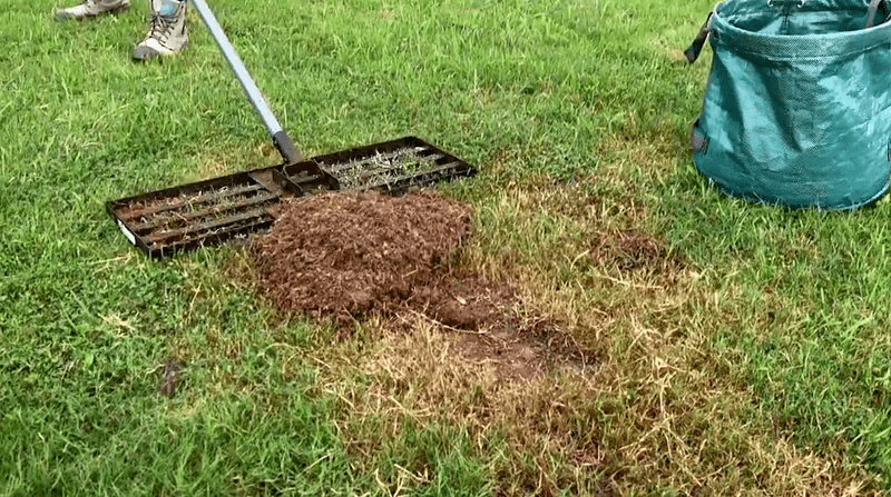 Raking Creates A More Even Surface Across The Lawn
