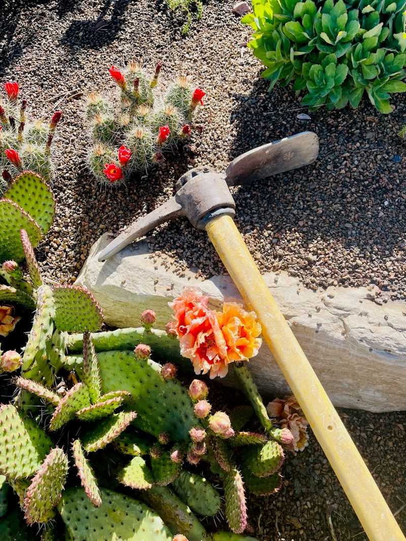 Raking Too Aggressively Can Move Seeds Away