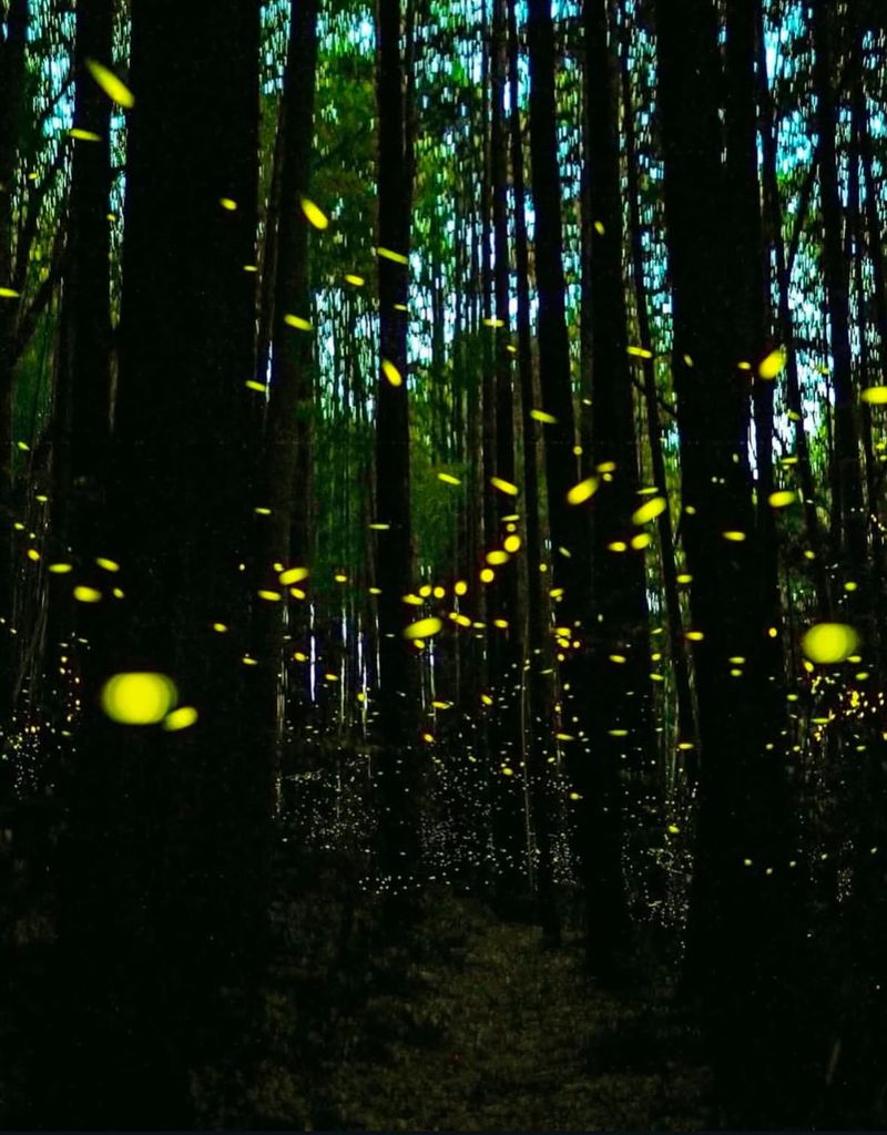 Reducing Outdoor Lighting At Night