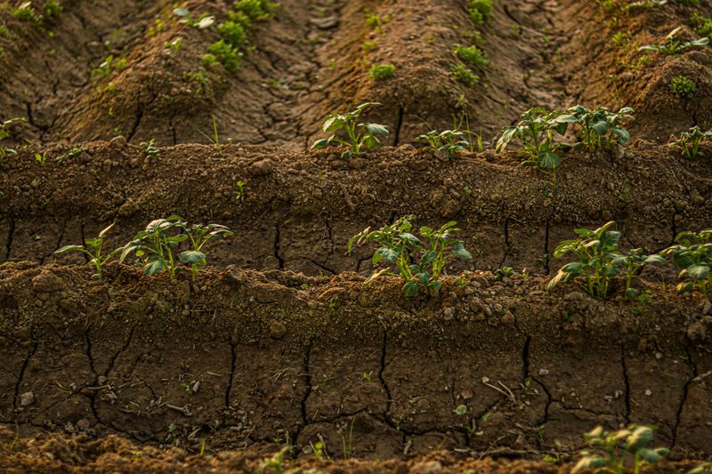 Reducing Soil Compaction Over Time