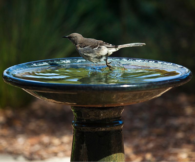 Refill Water More Than Once On Very Hot Days