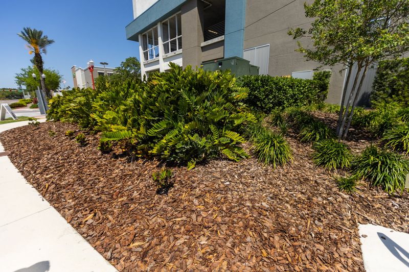 Refresh Mulch Before Summer Rain