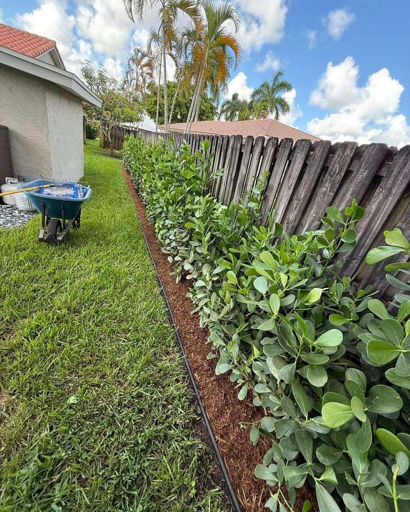 Refresh Mulch Without Burying Stems