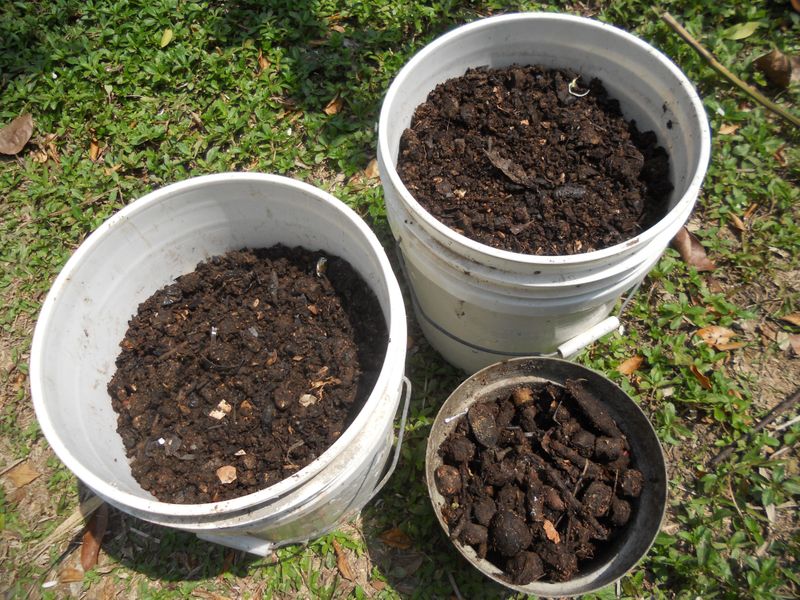 Refresh Tired Beds With Finished Compost