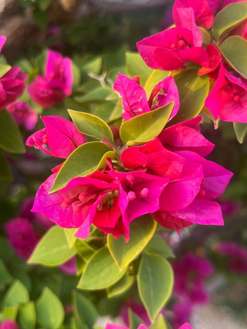 Regular Feeding Supports Active Growth